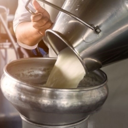 Farmer pouring raw milk from dairy farm into container for selling to industries or market